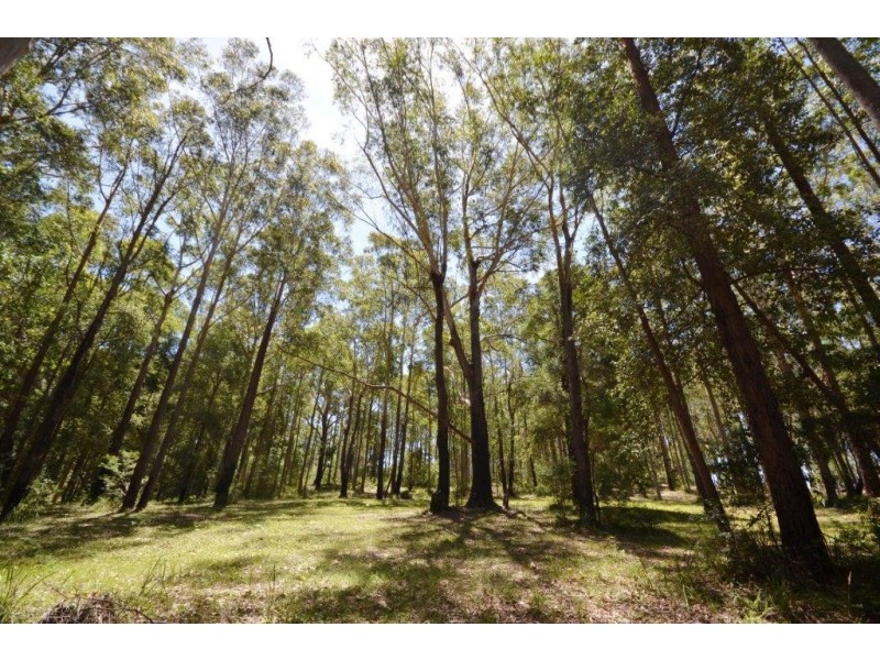 49 Woollamia Road, Falls Creek NSW 2540