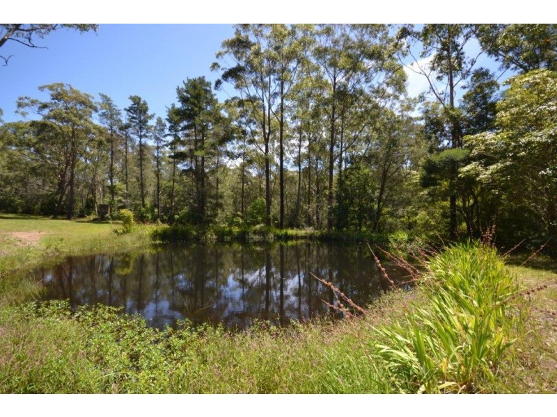 49 Woollamia Road, Falls Creek NSW 2540