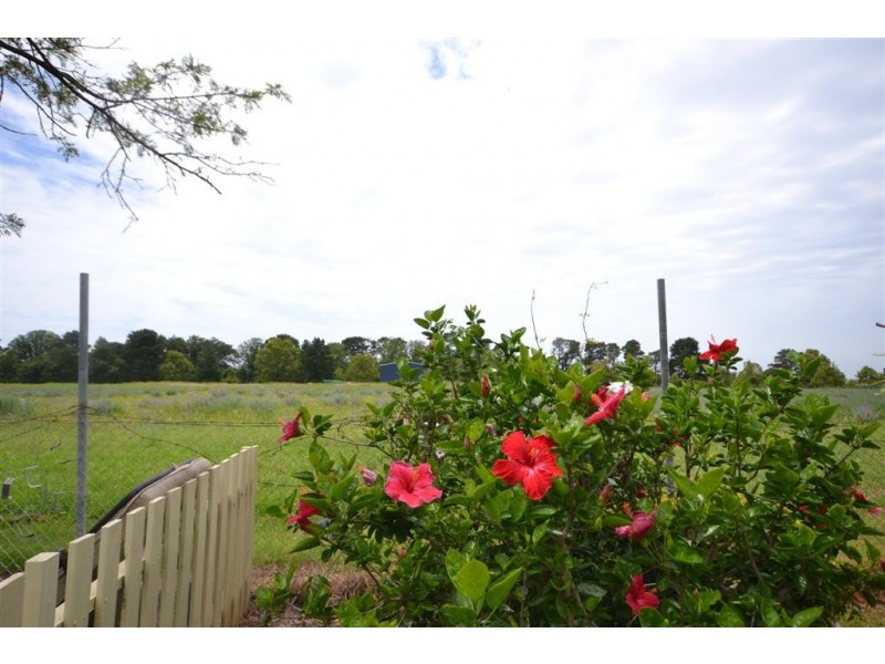 113 Shoalhaven Caravan Village, Terara NSW 2540