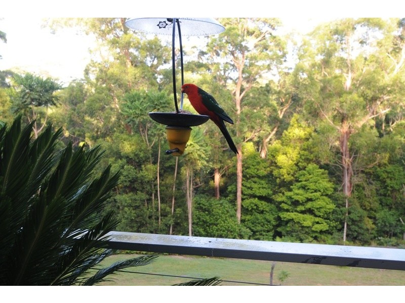 264 Tullouch Rd, Berry NSW 2535