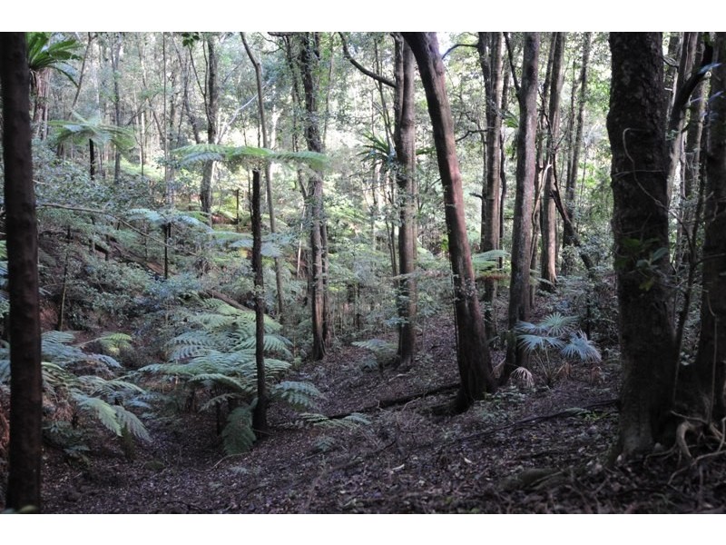 264 Tullouch Rd, Berry NSW 2535