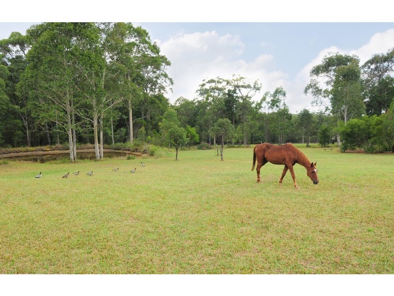 9 Evelyn Road, Tomerong NSW 2540