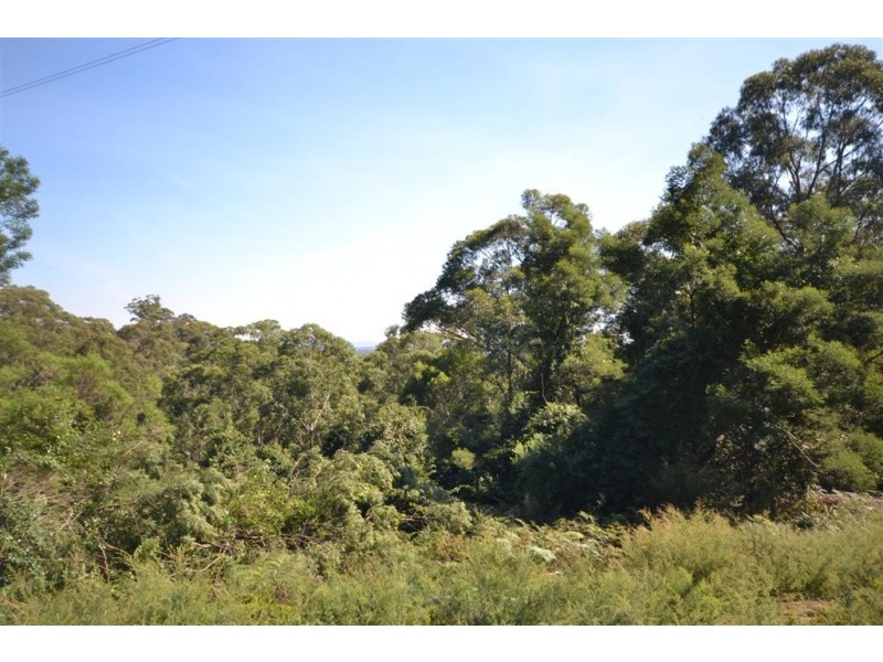 550 Bugong Road, Tapitallee NSW 2540