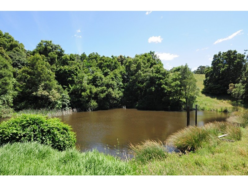 220 Tourist Road, Berry NSW 2535