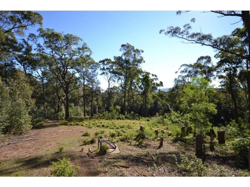 470 Bugong Road, Tapitallee NSW 2540