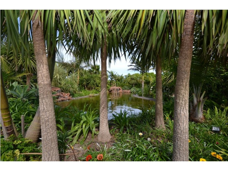 62 Bennett Place, Worrigee NSW 2540