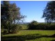 109 RYANS LANE, Pyree NSW 2540