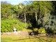 109 RYANS LANE, Pyree NSW 2540