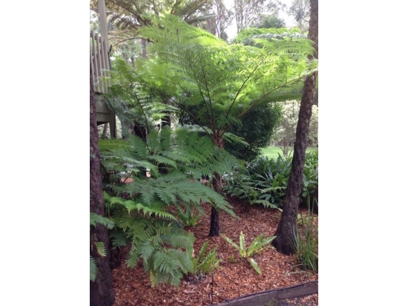 9 Lowana Close, Tapitallee NSW 2540