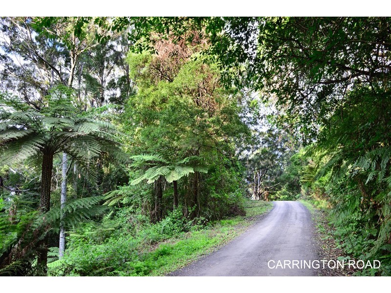 Berry NSW 2535