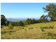 Berry NSW 2535