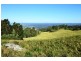 Berry NSW 2535