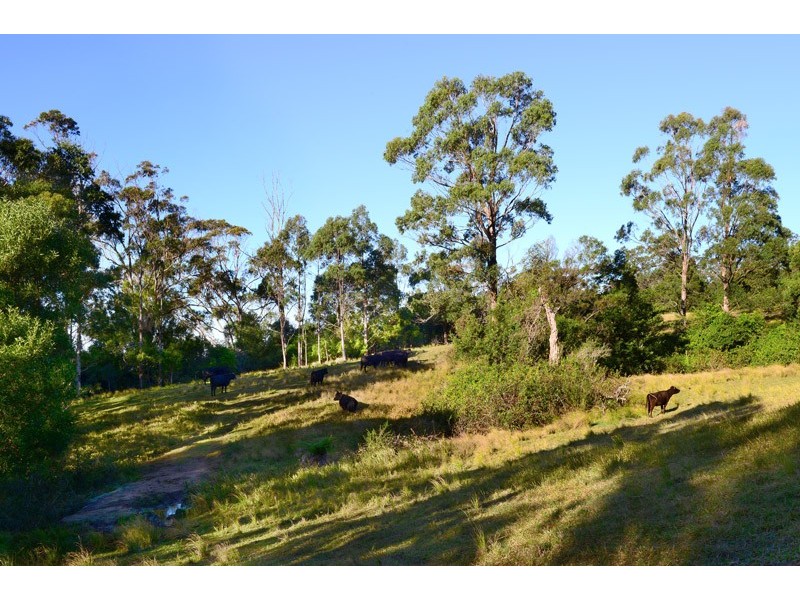 Berry NSW 2535