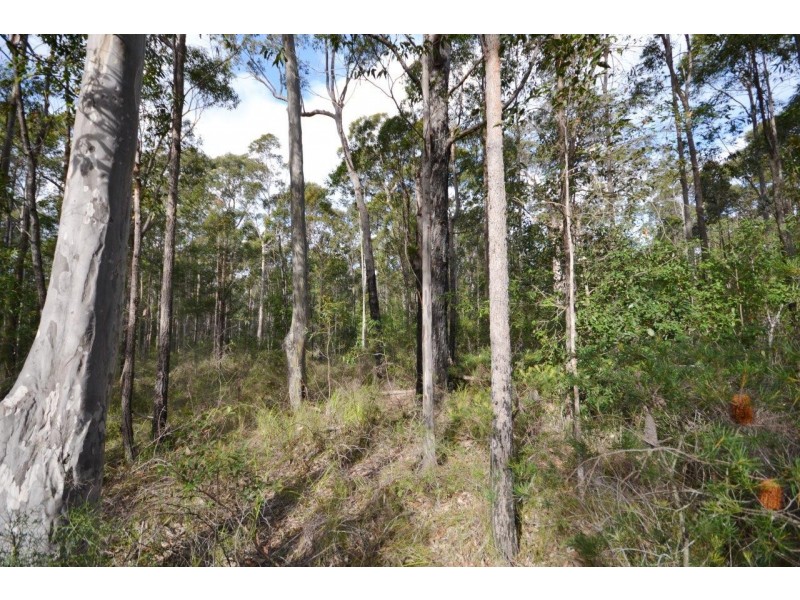 Lot 4 Tom Davis Road, Tomerong NSW 2540