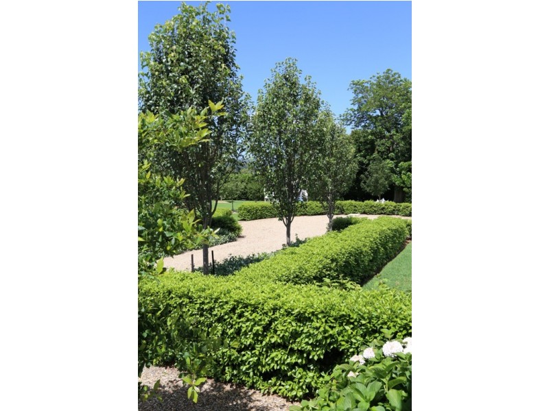 428 Wattamolla Road, Berry NSW 2535