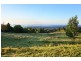 Browns Mountain NSW 2540