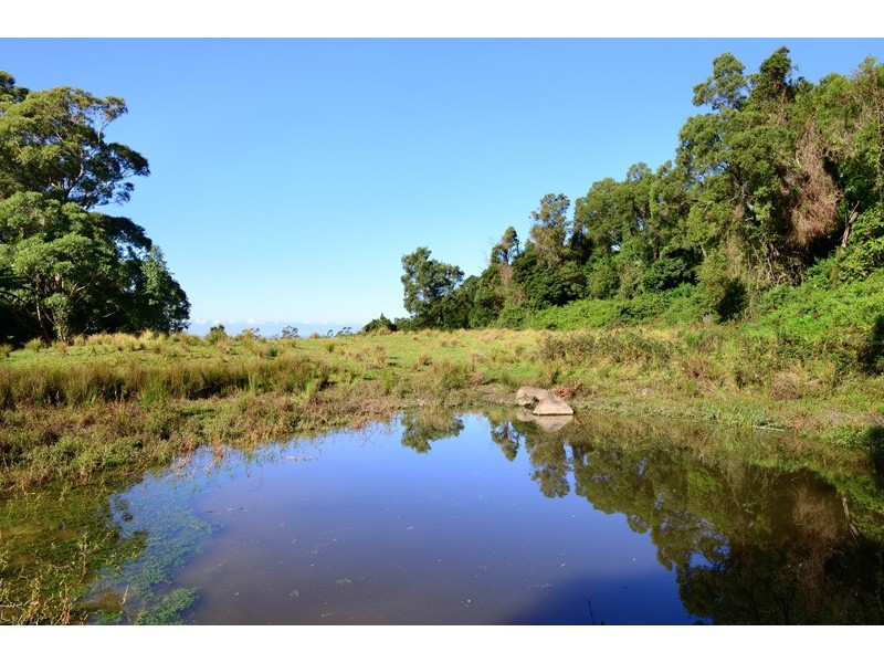 Browns Mountain NSW 2540