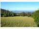 Browns Mountain NSW 2540