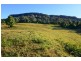 Browns Mountain NSW 2540