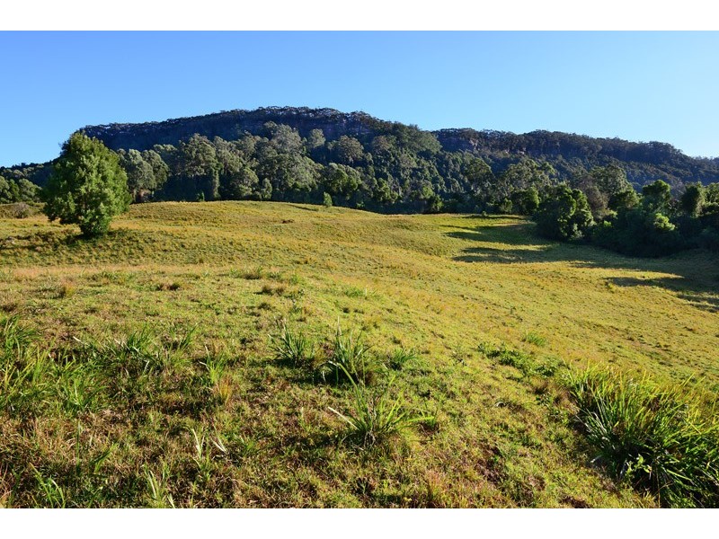 Browns Mountain NSW 2540
