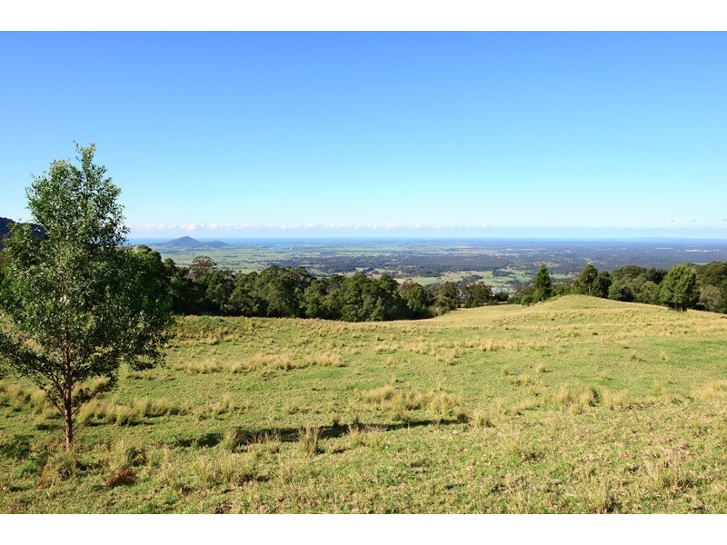 Browns Mountain NSW 2540