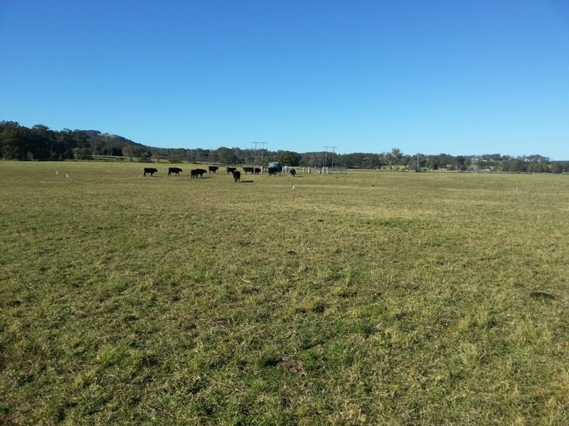 43 Bong Bong Rd, Berry NSW 2535