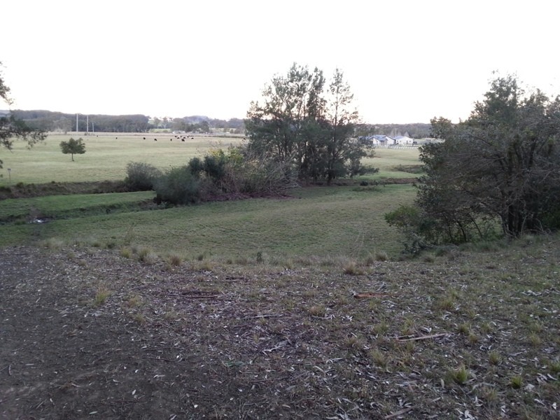 43 Bong Bong Rd, Berry NSW 2535