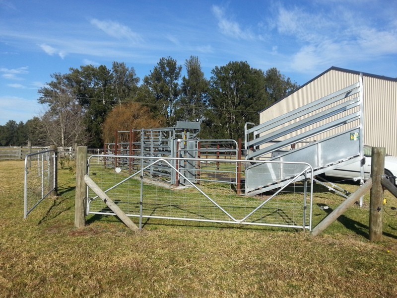 43 Bong Bong Rd, Berry NSW 2535