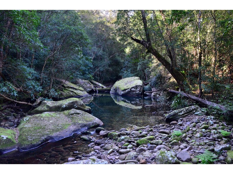 Lot 2 Selbys Road, Budgong NSW 2577