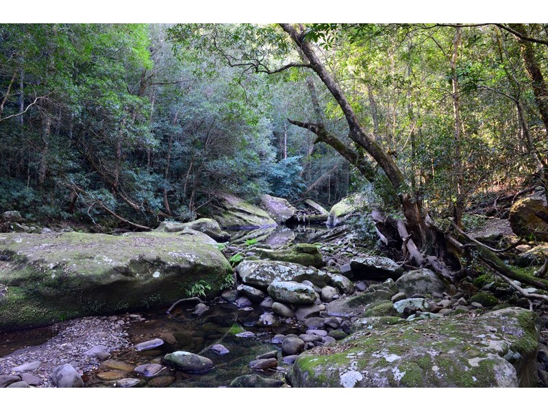 Lot 2 Selbys Road, Budgong NSW 2577