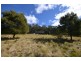36 Sturgiss Road, Sassafras NSW 2622