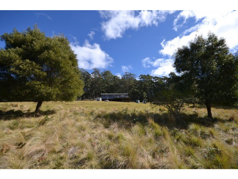 36 Sturgiss Road, Sassafras NSW 2622