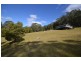 36 Sturgiss Road, Sassafras NSW 2622