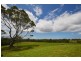 55 Greenmeadow Lane, Nowra Hill NSW 2540