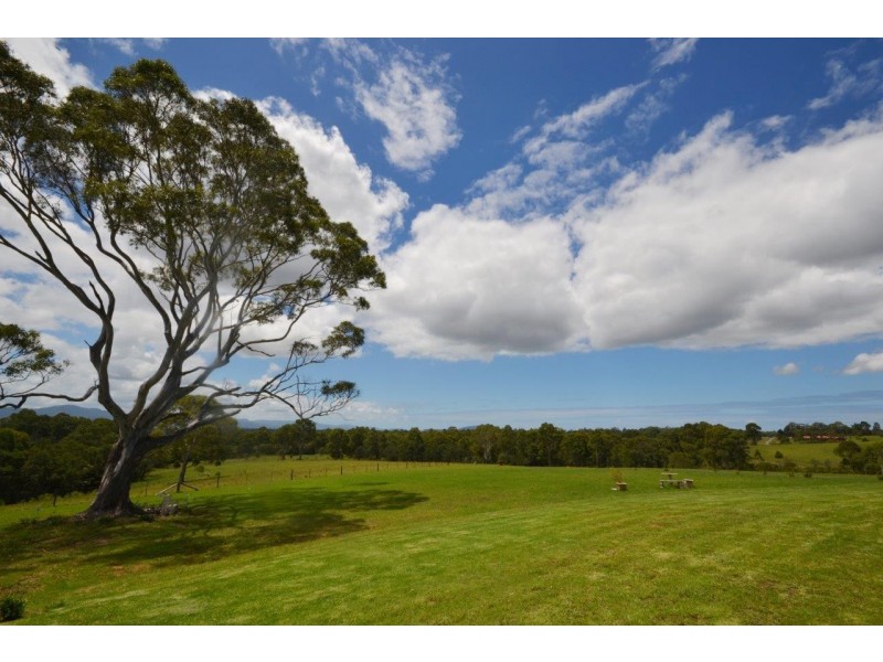 55 Greenmeadow Lane, Nowra Hill NSW 2540