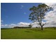 55 Greenmeadow Lane, Nowra Hill NSW 2540