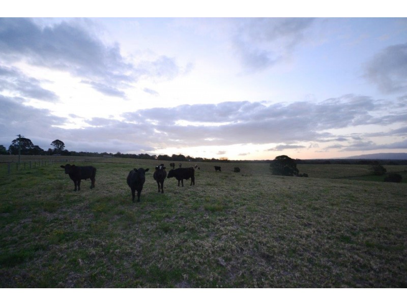 55 Greenmeadow Lane, Nowra Hill NSW 2540