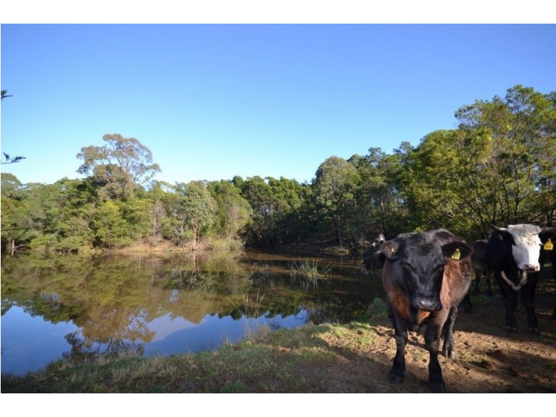 55 Greenmeadow Lane, Nowra Hill NSW 2540