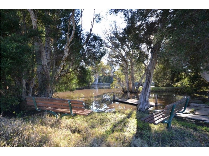 55 Greenmeadow Lane, Nowra Hill NSW 2540