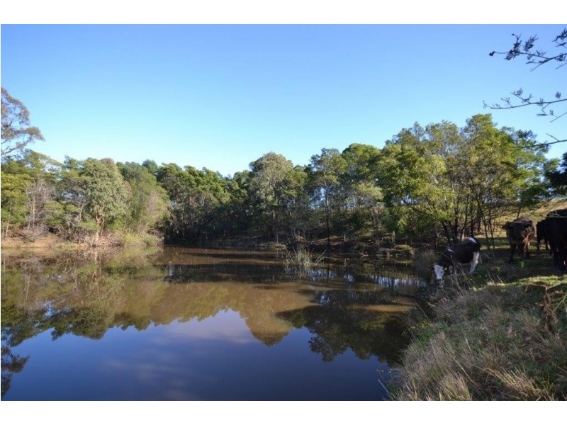 55 Greenmeadow Lane, Nowra Hill NSW 2540