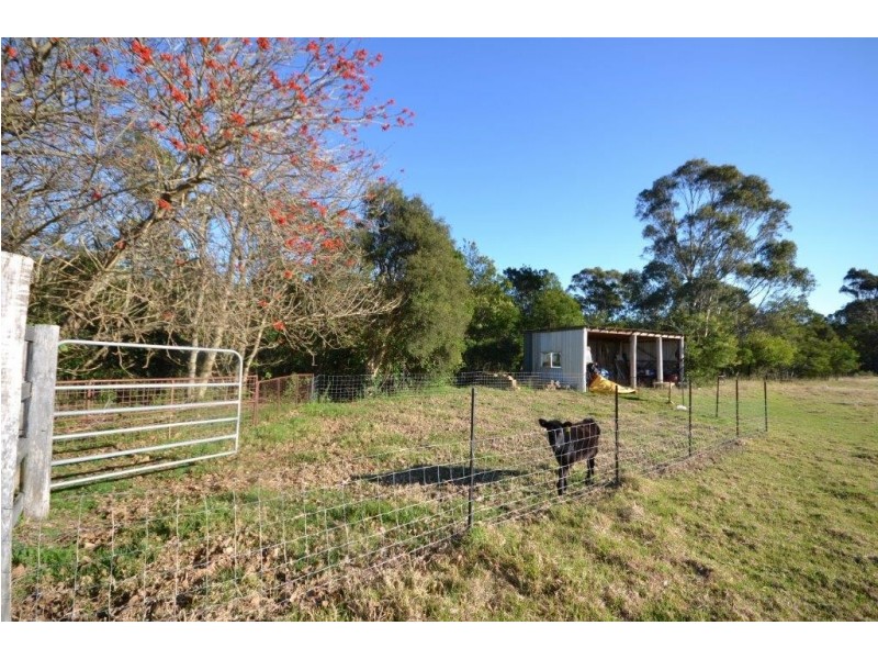 55 Greenmeadow Lane, Nowra Hill NSW 2540