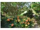 2 Paddington Lane, Kangaroo Valley NSW 2577