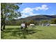 240 Mt Scanzi Road, Kangaroo Valley NSW 2577