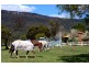 240 Mt Scanzi Road, Kangaroo Valley NSW 2577