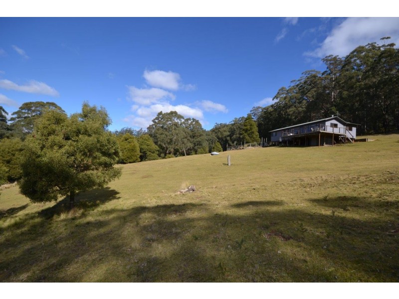 36 Sturgiss Road, Sassafras NSW 2622