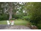 86 Walsh Crescent, North Nowra NSW 2541