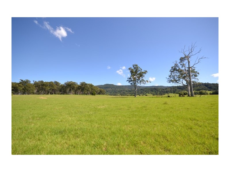 Lot 11 Devitts Lane, Meroo Meadow NSW 2540