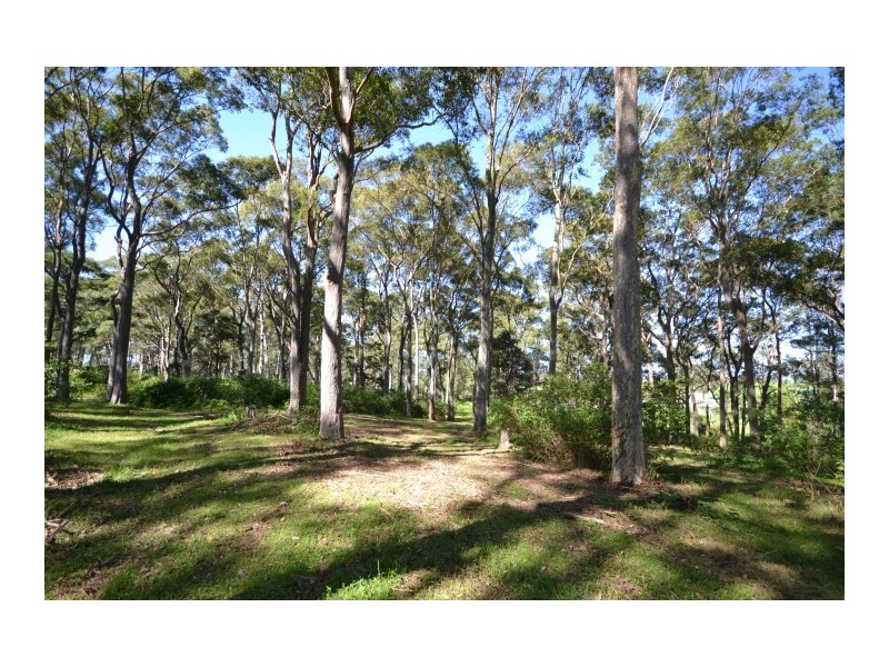 Lot 11 Devitts Lane, Meroo Meadow NSW 2540