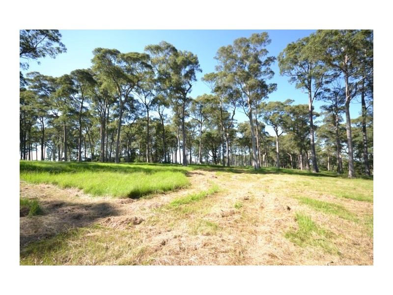 Lot 11 Devitts Lane, Meroo Meadow NSW 2540
