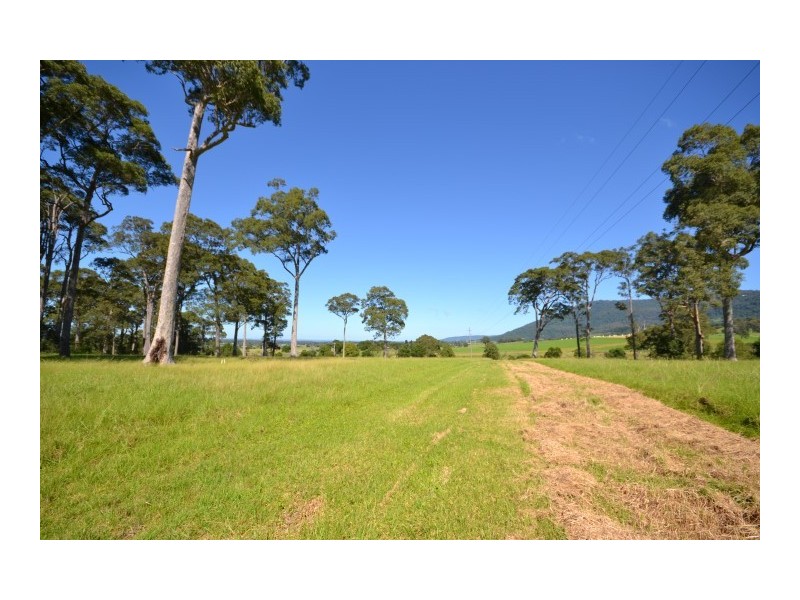 Lot 11 Devitts Lane, Meroo Meadow NSW 2540